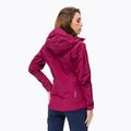Куртка дощовик жіноча Salewa Sella Responsive бордова 00-0000027879 3