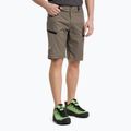 Шорти туристичні чоловічі Salewa Lavaredo Hemp коричневі 00-0000028033