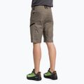 Шорти туристичні чоловічі Salewa Lavaredo Hemp коричневі 00-0000028033 3