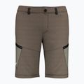 Шорти туристичні чоловічі Salewa Lavaredo Hemp коричневі 00-0000028033 5