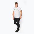 Футболка трекінгова чоловіча Salewa Lines Graphic Dry біла 00-0000028065 2