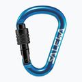 Скелелазний карабін Salewa HMS Screw G2 blue