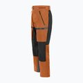 Штани з мембраною чоловічі Salewa Sella 3L Ptxr помаранчеві 00-0000028193 6