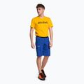 Шорти туристичні чоловічі Salewa Agner Light блакитні 00-0000027380 2