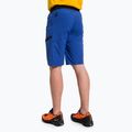 Шорти туристичні чоловічі Salewa Agner Light блакитні 00-0000027380 3