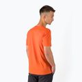 Футболка трекінгова чоловіча Salewa Alpine Hemp Logo помаранчева 00-0000028132 3