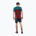 Футболка для бігу чоловіча DYNAFIT Alpine Pro syrah 2