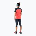 Футболка для бігу жіноча DYNAFIT Alpine Pro hot coral 2