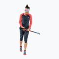 Лонгслів для бігу жіночий DYNAFIT Alpine Pro blueberry/hot coral