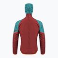 Куртка для бігу чоловіча DYNAFIT Alpine GTX mallard blue 6