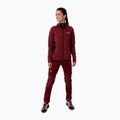 Кофта трекінгова жіноча Salewa Lavaredo Hemp Hooded червона 00-0000028238
