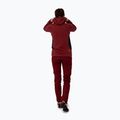 Кофта трекінгова жіноча Salewa Lavaredo Hemp Hooded червона 00-0000028238 2