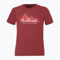 Футболка трекінгова дитяча Salewa Simple Life Dry червона 00-0000027774