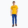 Футболка трекінгова чоловіча Salewa Puez Hybrid 2 Dry жовта 00-0000027397 2