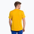 Футболка трекінгова чоловіча Salewa Puez Hybrid 2 Dry жовта 00-0000027397 3