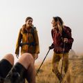 Куртка софтшел жіноча Salewa Agner DST бордова 00-0000028301 15