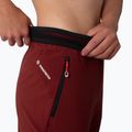 Штани трекінгові жіночі Salewa Pedroc 2 DST 2/1 бордові 00-0000028588 5