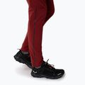 Штани трекінгові жіночі Salewa Pedroc 2 DST 2/1 бордові 00-0000028588 8