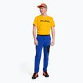 Штани трекінгові чоловічі Salewa Pedroc 2 DST Light блакитні 00-0000028597 2