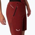Шорти трекінгові жіночі Salewa Pedroc DST червоні 00-0000028602 6