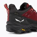 Взуття трекінгове жіноче Salewa Alp Trainer 2 GTX бордове 00-0000061401 8