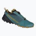 Кросівки для бігу чоловічі DYNAFIT Traverse GTX storm blue/blueberry 9