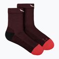 Чоловічі шкарпетки Salewa MTN TRN AM Syrah