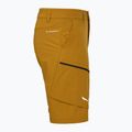 Чоловічі трекінгові шорти Salewa Puez DST Cargo золотисто-коричневі 3