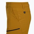 Чоловічі трекінгові шорти Salewa Puez DST Cargo золотисто-коричневі 4
