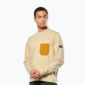 Чоловіча кофта Salewa Fanes Dry Pullover quicksand