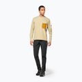Чоловіча кофта Salewa Fanes Dry Pullover quicksand 2