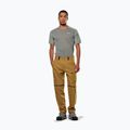 Чоловічі трекінгові штани Salewa Puez Hemp/Dst 2/1 золотисто-коричневі 2