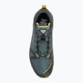 Чоловічі кросівки DYNAFIT Traverse GTX лишайник/атлантік 5