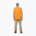 Чоловіча трекінгова сорочка Salewa Agner Hemp/Dst turmeric 3