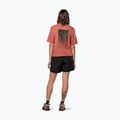 Жіноча футболка Salewa Eagle Sunset Loose етруська червона 3