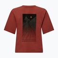 Жіноча футболка Salewa Eagle Sunset Loose етруська червона 6