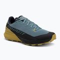 Кросівки для бігу чоловічі DYNAFIT Ultra GTX black out/atlantic