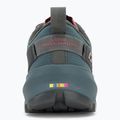 Кросівки для бігу DYNAFIT Traverse GTX lichen/atlantic 6