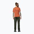 Футболка чоловіча Salewa Eagle Vocab bombay brown 3