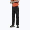 Штани софтшел чоловічі Salewa Puez Dolomia 2 black out