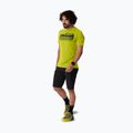 Футболка трекінгова чоловіча DYNAFIT Transalper Graphic golden lime/5a30 2