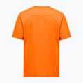 Футболка чоловіча Salewa Pedroc Dry Light turmeric 2