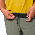 Штани трекінгові чоловічі Salewa Pedroc 3 DST Light faded green 4
