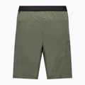 Шорти трекінгові чоловічі Salewa Pedroc 4 DST Cargo faded green 2