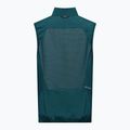 Жилет трекінговий чоловічий Salewa Pedroc DST Light pond blue 2