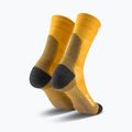 Шкарпетки чоловічі Salewa Ortles AM Crew gold 2