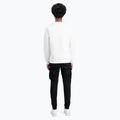 Кофта чоловіча Alpha Industries Basic white 3