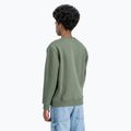 Кофта чоловіча Alpha Industries Basic dark olive 5