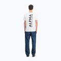 Футболка чоловіча Alpha Industries Backprint white 3