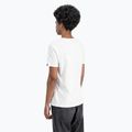 Футболка чоловіча Alpha Industries Basic Mid Logo white 5
